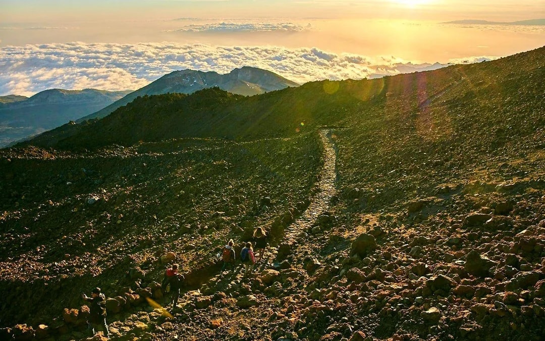 Mount Teide Stargazing Tour with Transfers & Cable Car Tickets Image 9