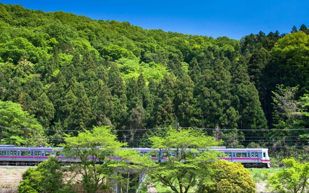 Mountain Takao Keio Line One-Day Ticket + Mt. Takao Cable Car Ticket Image 8