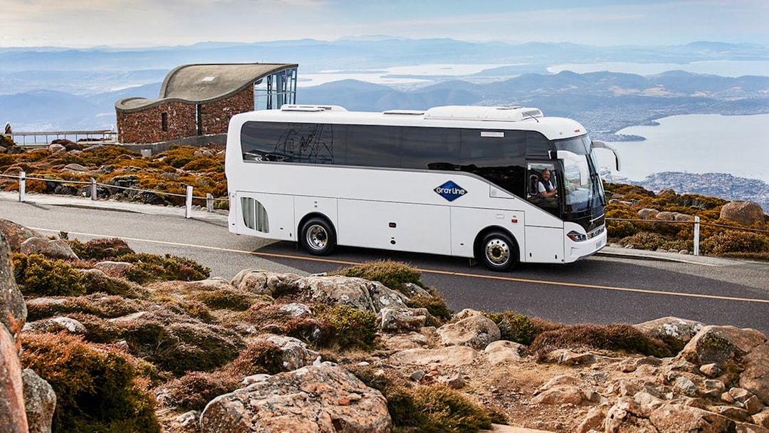 Tour bus on Mt Wellington road with scenic view of Hobart, Tasmania.