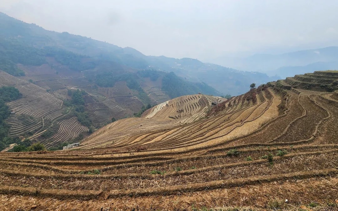 Mu Cang Chai Private Car Tour with Local Guide Image 4