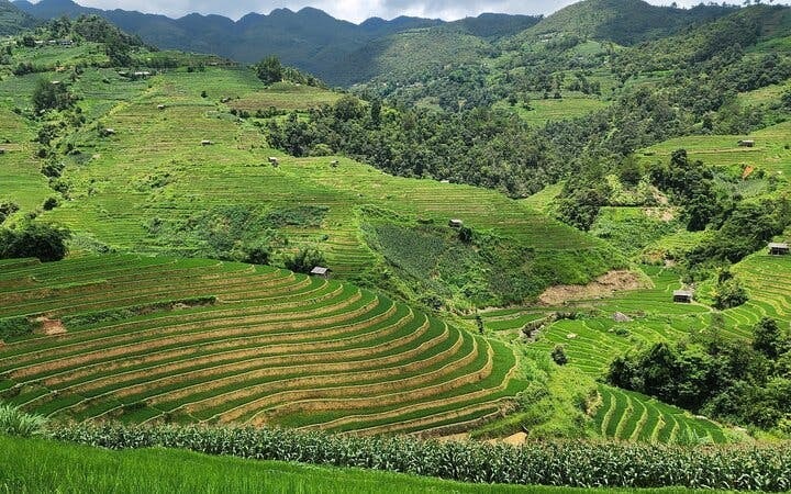 Mu Cang Chai Trekking Tour of Ethnic Villages and Landscapes with Lunch Image 3