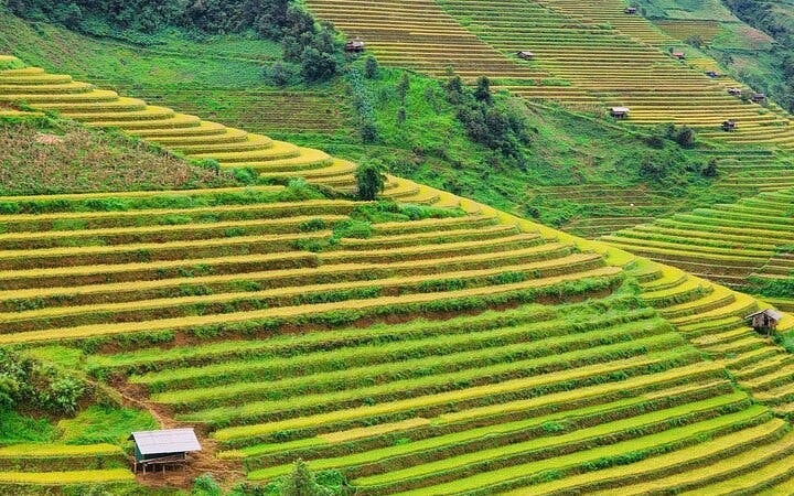 Mu Cang Chai Trekking Tour of Ethnic Villages and Landscapes with Lunch Image 8