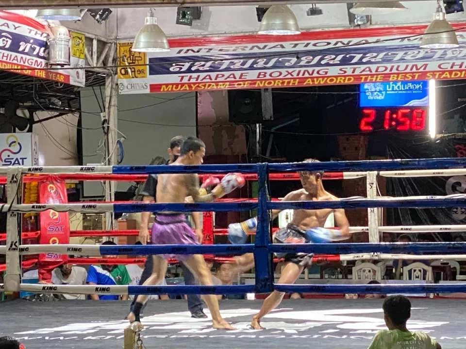 Muay Thai Show at Thapae Boxing Stadium | Chiang Mai