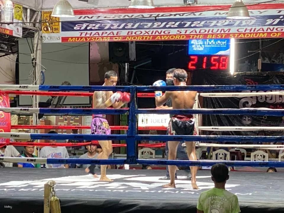 Muay Thai Show at Thapae Boxing Stadium | Chiang Mai