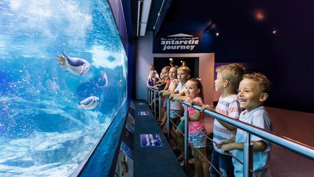 Children watching penguins swim at Sea World's Antarctic Journey exhibit.