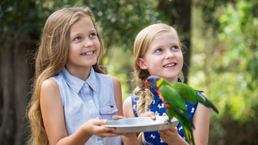 Children holding a tray with a bird at Paradise Country.