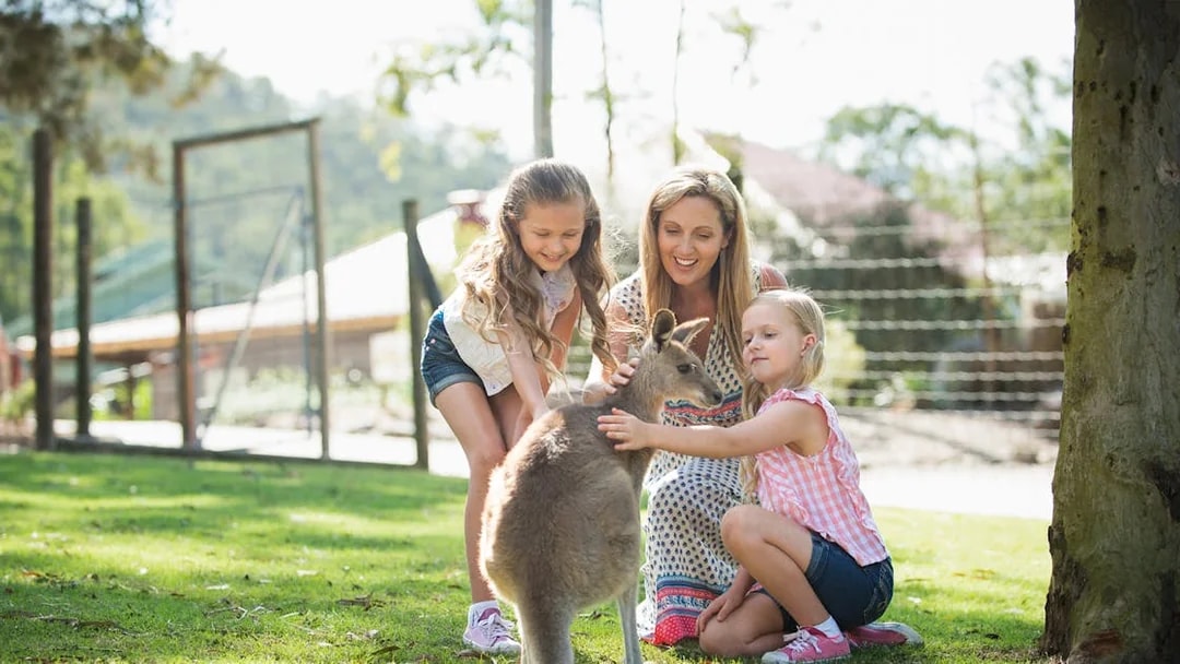 Family interacting with a kangaroo at Paradise Country, Australia.