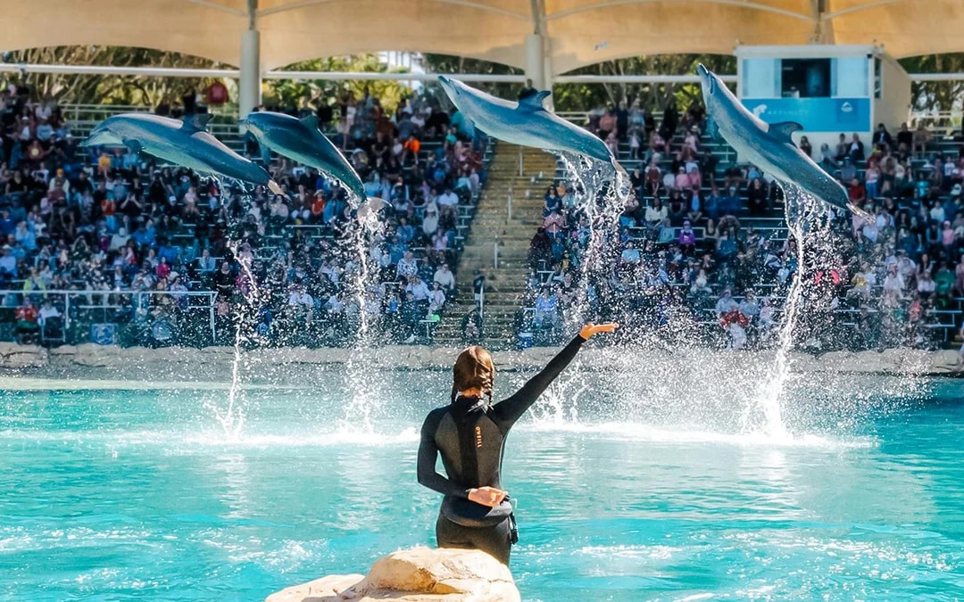 Unlimited Multi-Day Theme Parks Pass: Movie World, Sea World & Wet'n’Wild Image 4