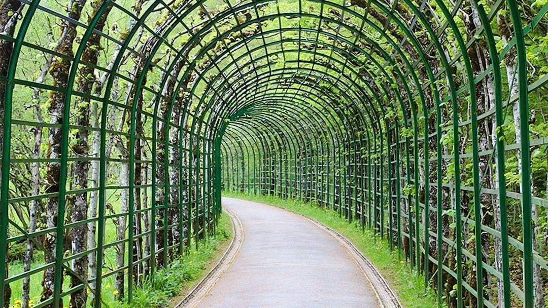 Pathway through green trellis archway in Linderhof Palace gardens.