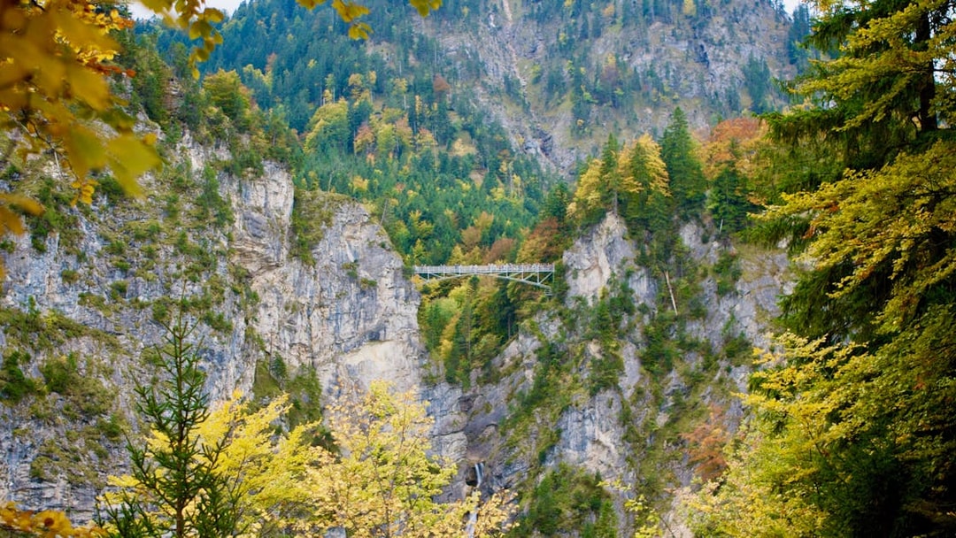 Bridge over rocky gorge surrounded by forest near Neuschwanstein, seen on Munich coach tour.