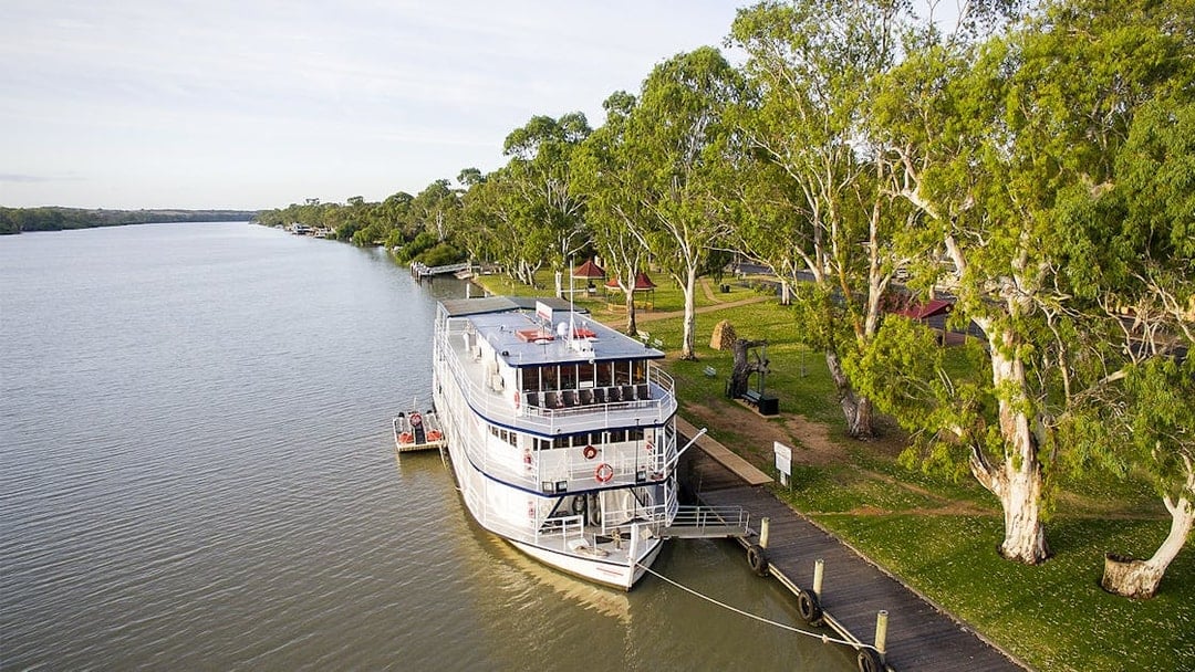  Murray River Highlights Cruise with Guided Tour & Lunch