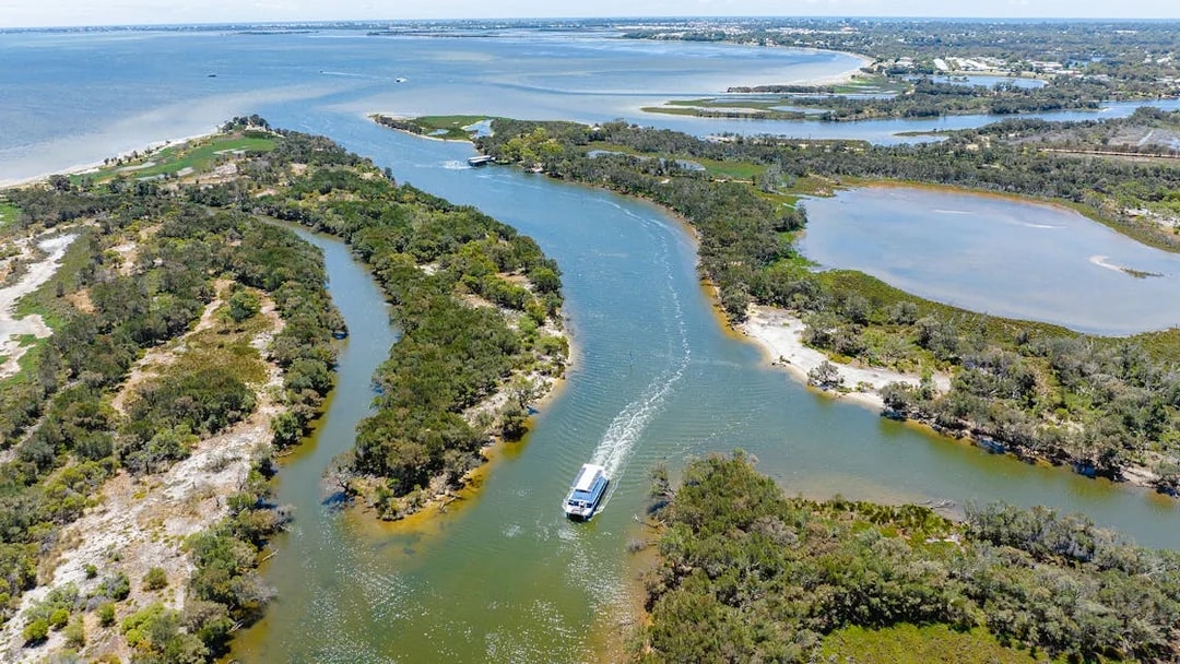 Aerial view of a boat cruising along the Murray River surrounded by lush greenery.