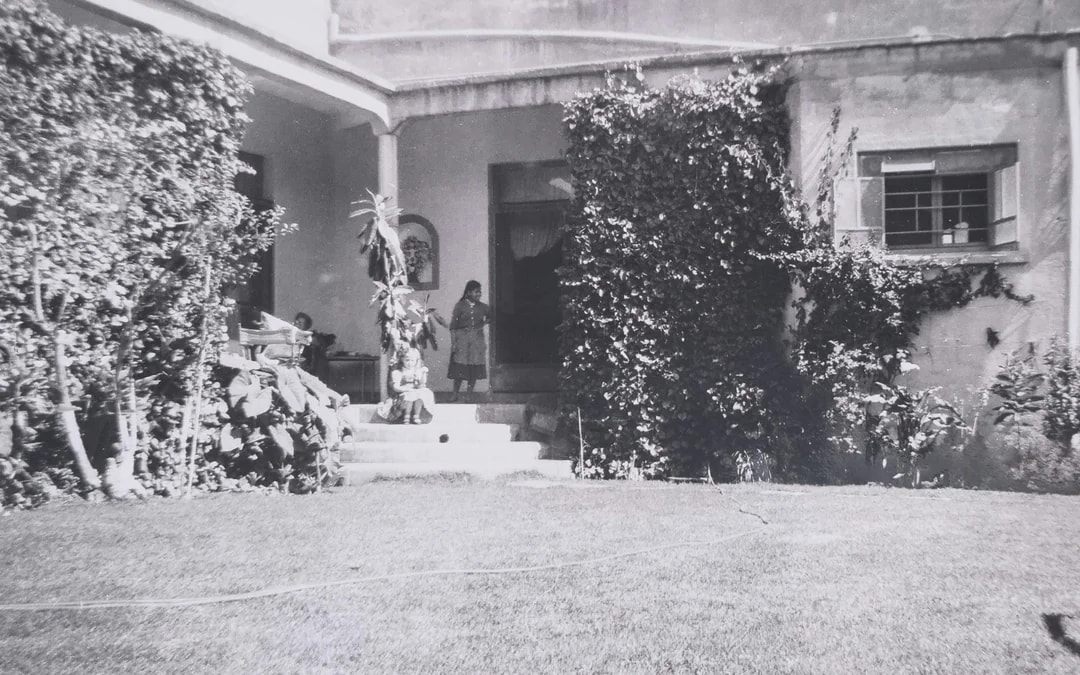 Museo Casa Kahlo Entry Ticket Image 5