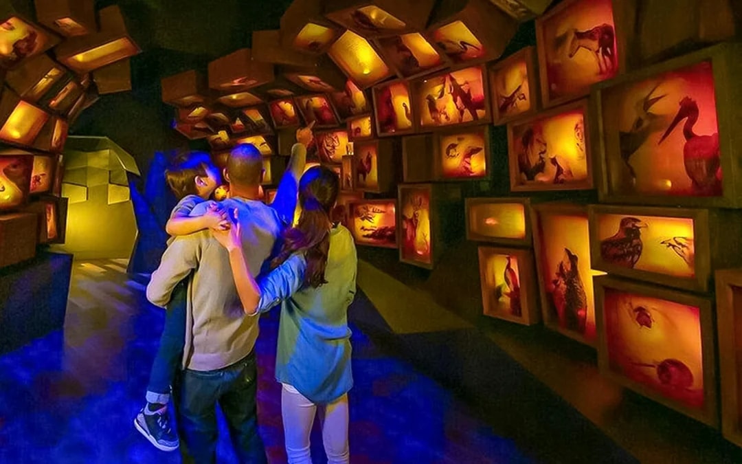 Family exploring illuminated animal displays at Museum of the Bible.