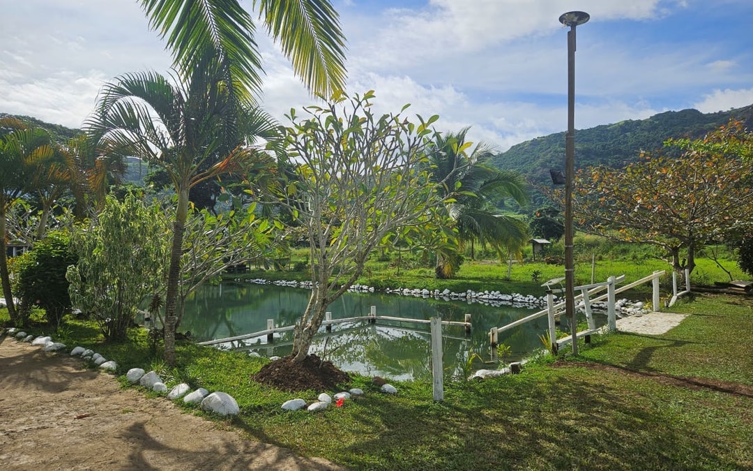 Nadi Highlights Guided Tour: Temple, Village, Market, Orchid Garden, and Hot Springs Entry Image 2