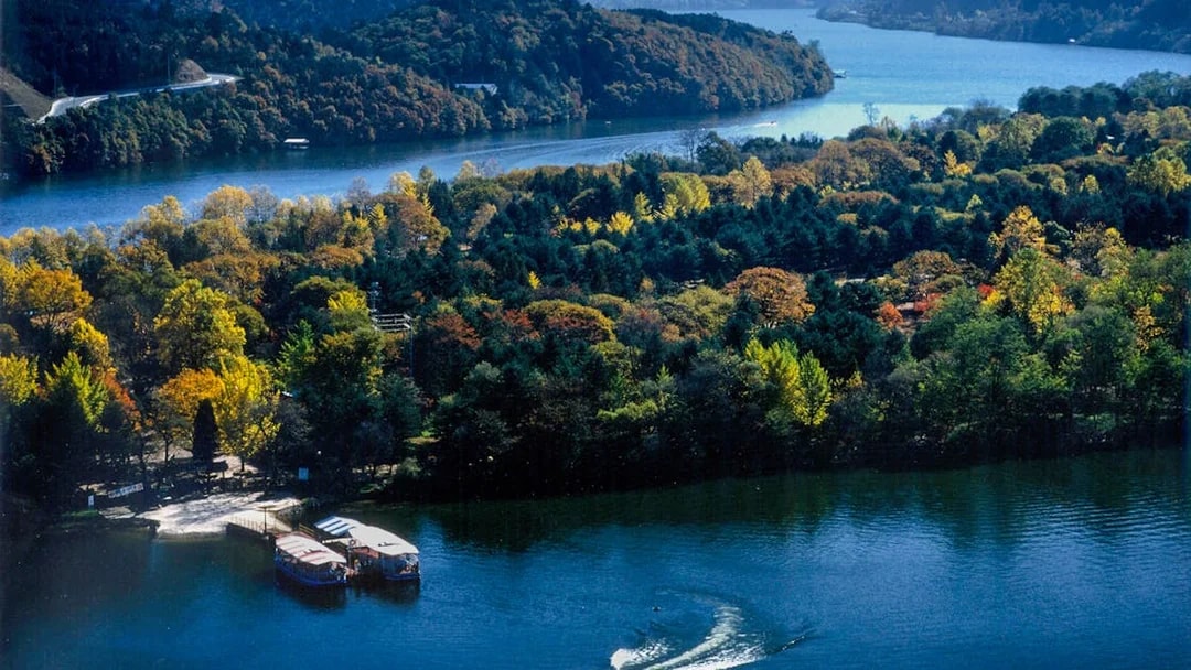 Scenic view of a waterbody and forested mountains in Nami Island, South Korea.