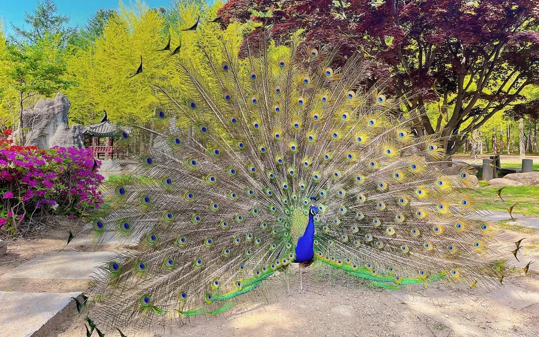 Nami Island Admission Ticket with Transfers Image 6