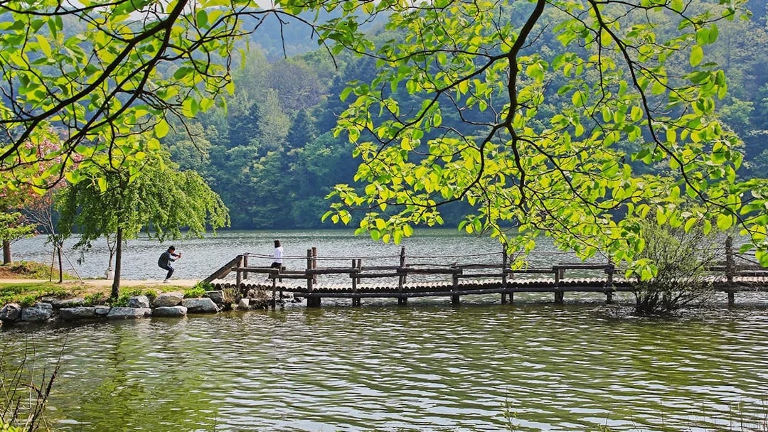 Tourist taking photo near waterbody on Nami Island bridge, South Korea.
