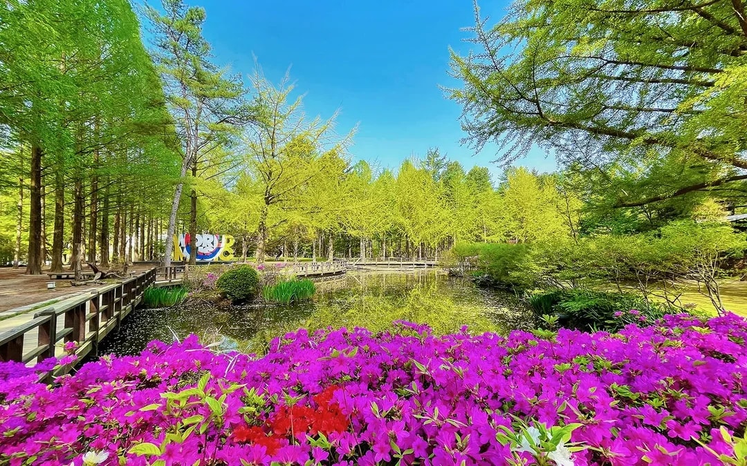 Nami Island Admission Ticket with Transfers Image 9