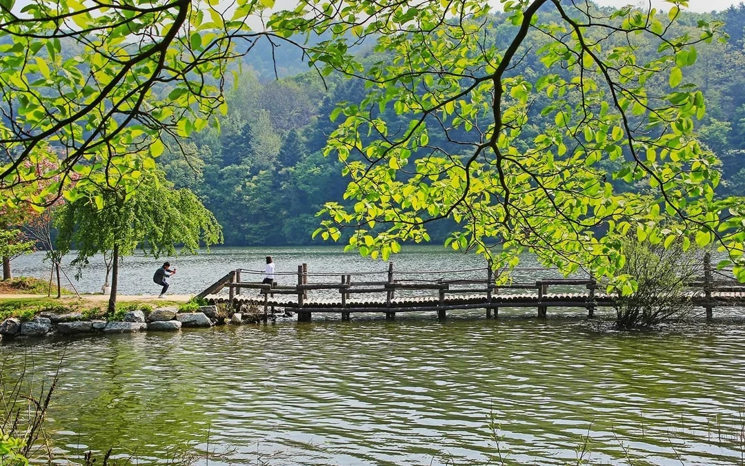 Nami Island Admission Ticket with Transfers Image 10