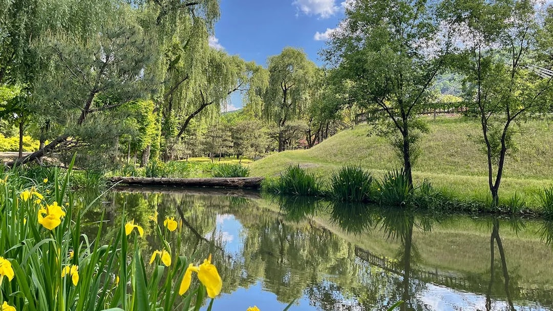 Idyllic canal with yellow flowers and trees in Nami Island, South Korea.