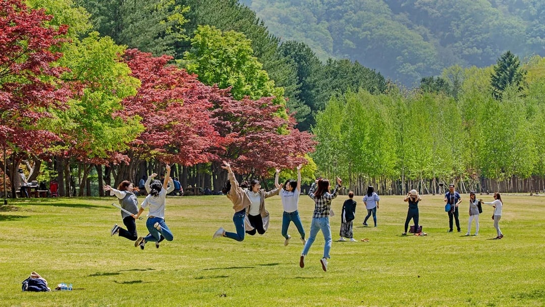 Tourists enjoying colorful foliage in Nami Island, South Korea.