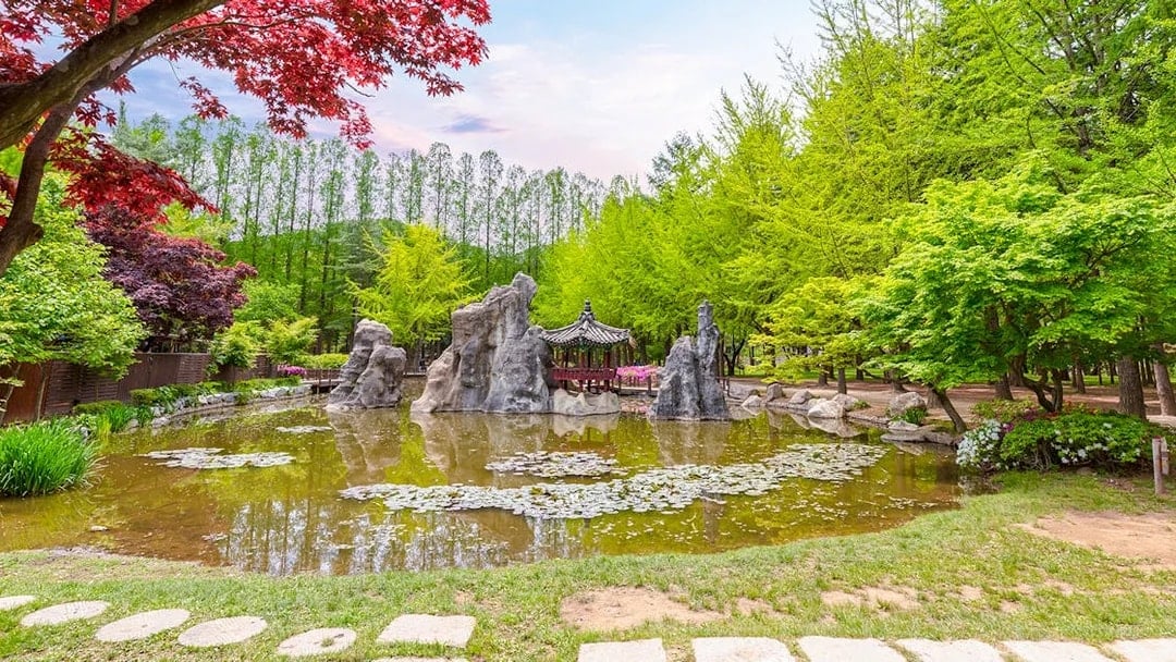 Cenic pond with rock features and Korean gazebo surrounded by spring trees on Nami Island.