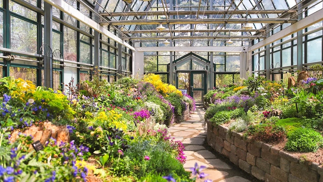 Greenhouse interior path with vibrant flowers and plants, South Korea.