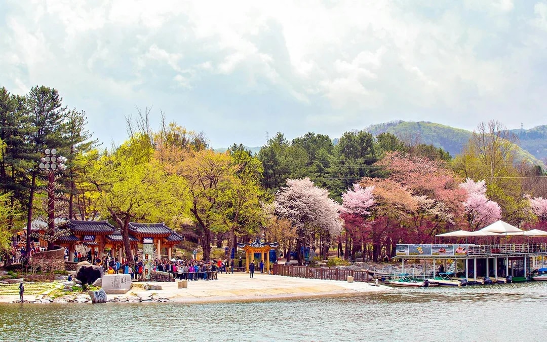 Nami Island Day Tour with Gangchon Rail Bike  Image 3