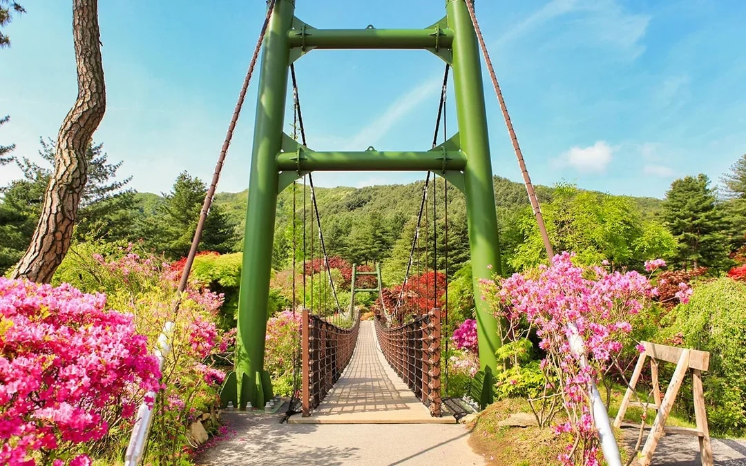 Nami Island Highlights Day Tour with Petite France & Italian Village  Image 9
