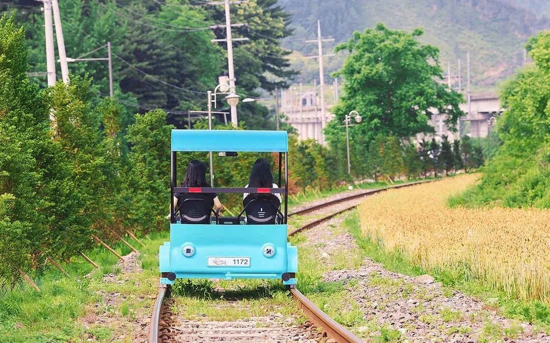 Nami Island Highlights Day Tour with Petite France & Italian Village  Image 11