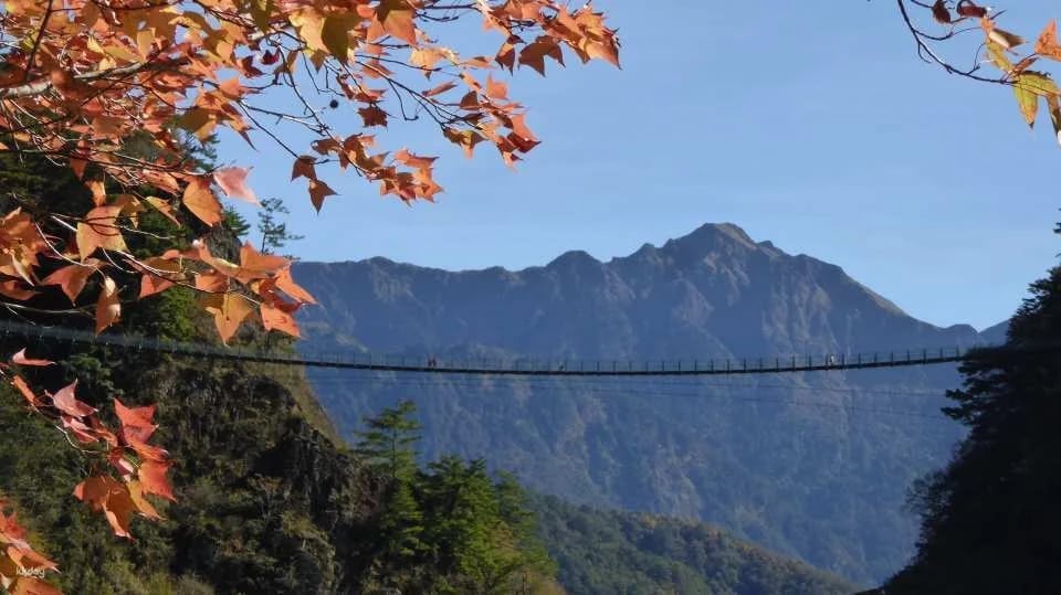 Nantou Aowanda National Forest Recreation Area Tickets