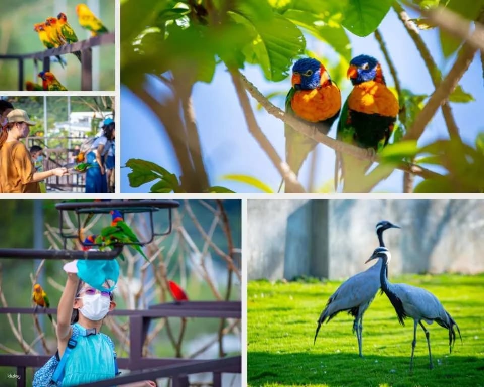 Nantou Jojozoo Park Tickets