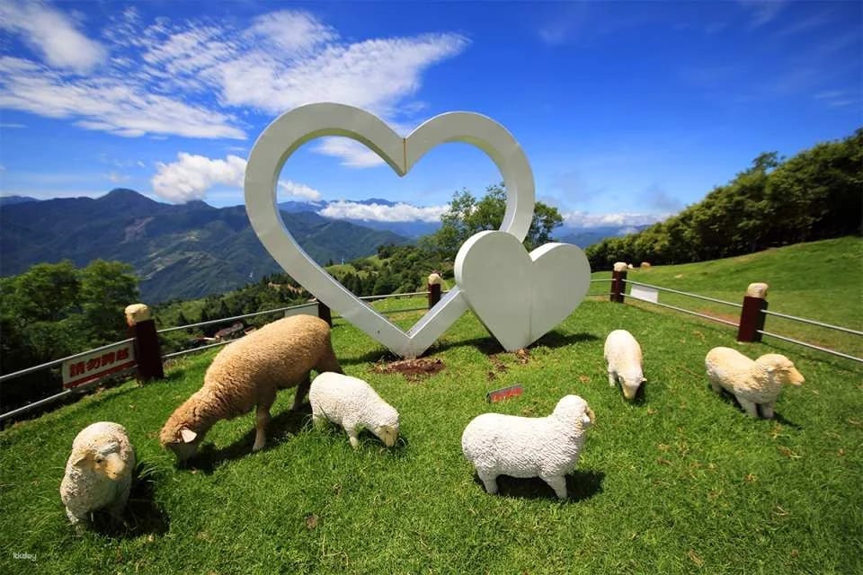 Nantou Qingjing Farm Ticket Package | Foreigners Only