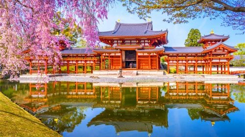 Departing from Osaka [Lazy Line] Interact with Nara Deer + Taste Uji Matcha + Optional Hot Spring Experience Day Tours