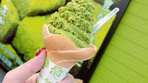 Departing from Osaka [Lazy Line] Interact with Nara Deer + Taste Uji Matcha + Optional Hot Spring Experience Day Tours