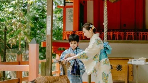 Departing from Osaka [Lazy Line] Interact with Nara Deer + Taste Uji Matcha + Optional Hot Spring Experience Day Tours