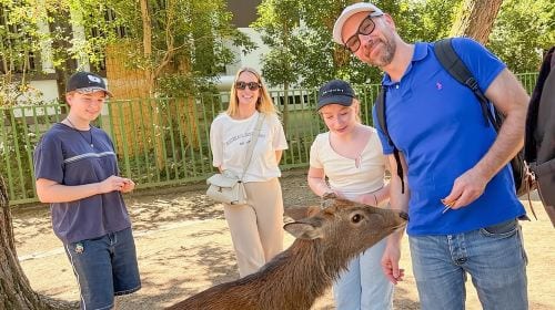 Nara Half Day Trip Walking Tour (Private Option Available) Day Tours