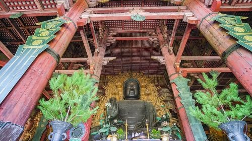 Nara Half Day Trip Walking Tour (Private Option Available) Day Tours