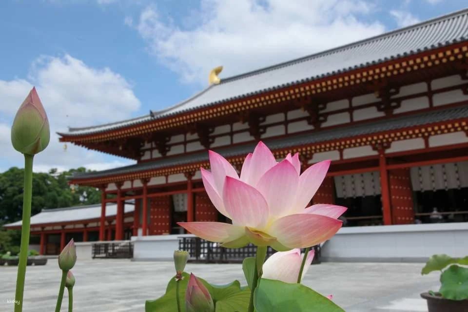 Nara, Japan|Nishikyo Renhuaji Temple Pass (Saidaiji Temple, Kikoji Temple, Toshodaiji Temple, Yakushiji Temple)