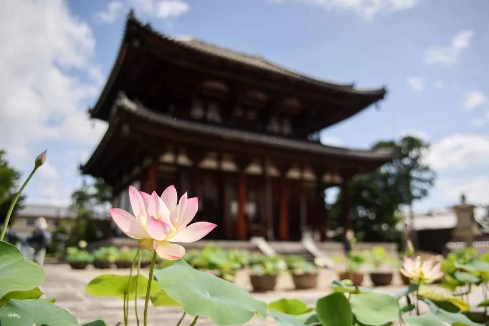 Nara, Japan|Nishikyo Renhuaji Temple Pass (Saidaiji Temple, Kikoji Temple, Toshodaiji Temple, Yakushiji Temple)