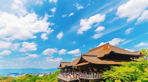 One-Day Tour of Nara Park and Kyoto's Ancient Temples Day Tours