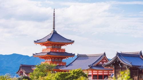 One-Day Tour of Nara Park and Kyoto's Ancient Temples Day Tours
