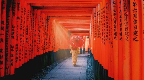 One-Day Tour of Nara Park and Kyoto's Ancient Temples Day Tours
