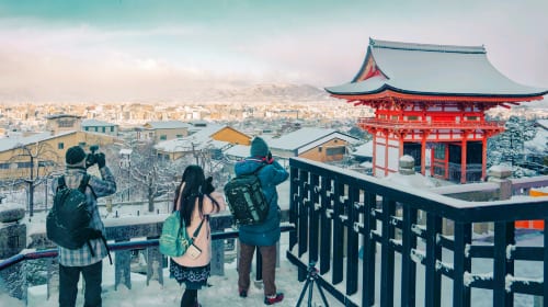 One-Day Tour of Nara Park and Kyoto's Ancient Temples Day Tours