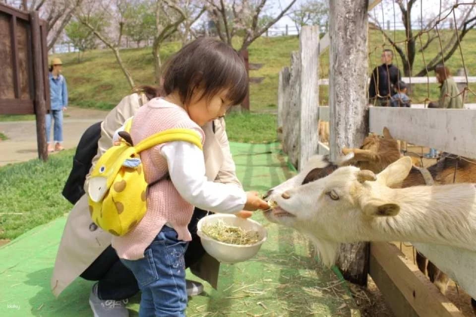 Narita Dream Dairy Farm | Admission Ticket | Instant Confirmation | Japan
