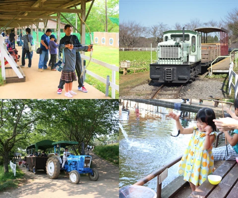 Narita Dream Dairy Farm | Admission Ticket | Instant Confirmation | Japan