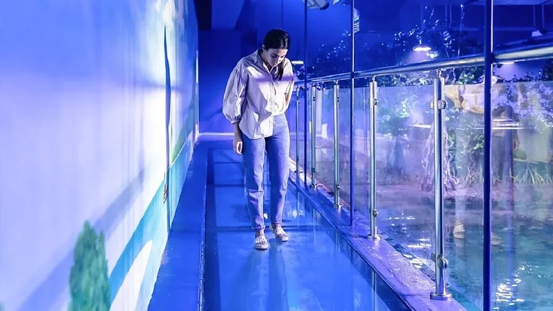 Visitor walking on glass floor at National Aquarium Abu Dhabi.