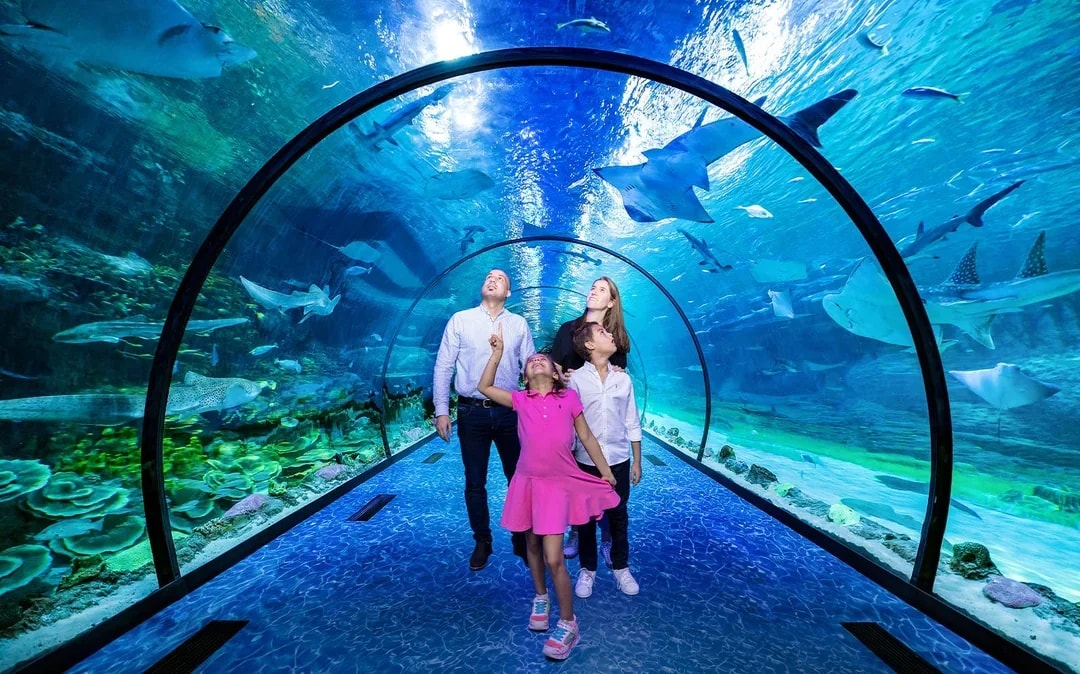 National Aquarium Abu Dhabi All Access Pass Tickets Image 6