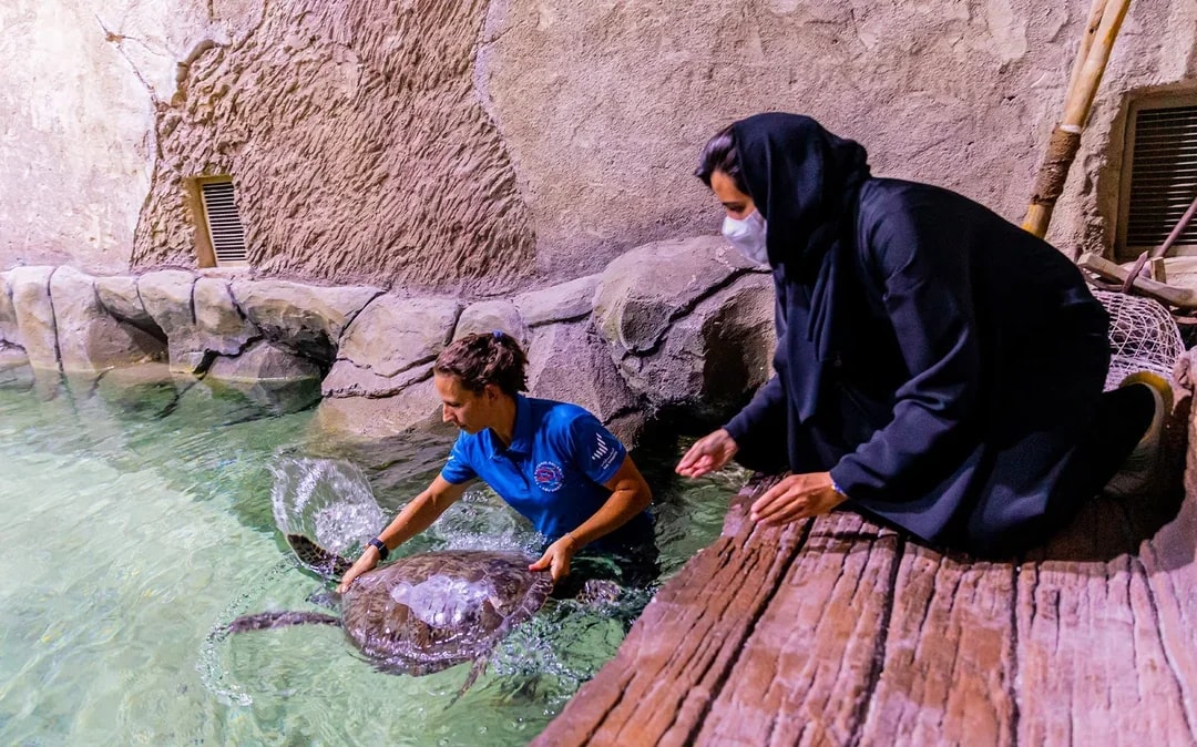 National Aquarium Abu Dhabi All Access Pass Tickets Image 1